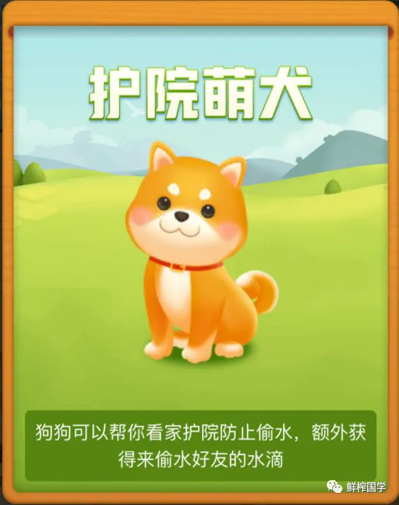 为什么篮球传说的训练方法能帮助你快速进步_2